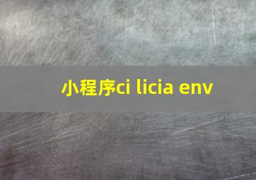 小程序ci licia env